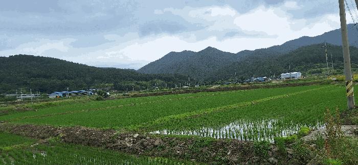 사진 06