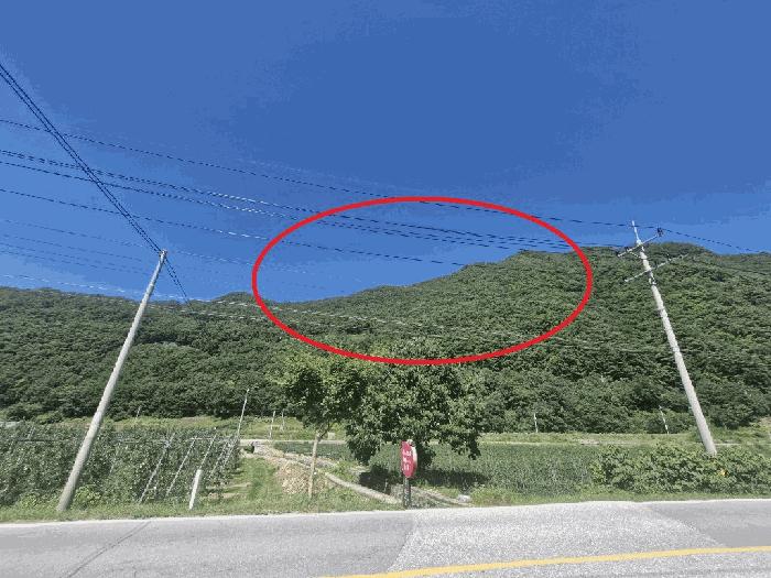 사진 01