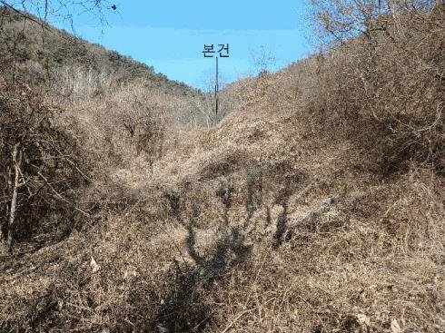 사진 01