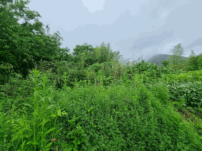 사진 07