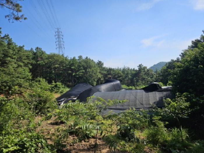 사진 07