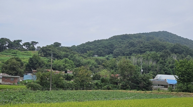 사진 07