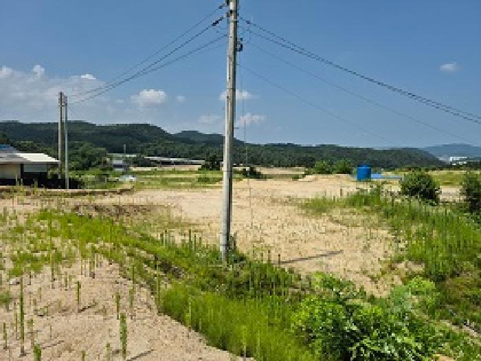 사진 02