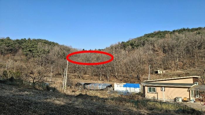 사진 05