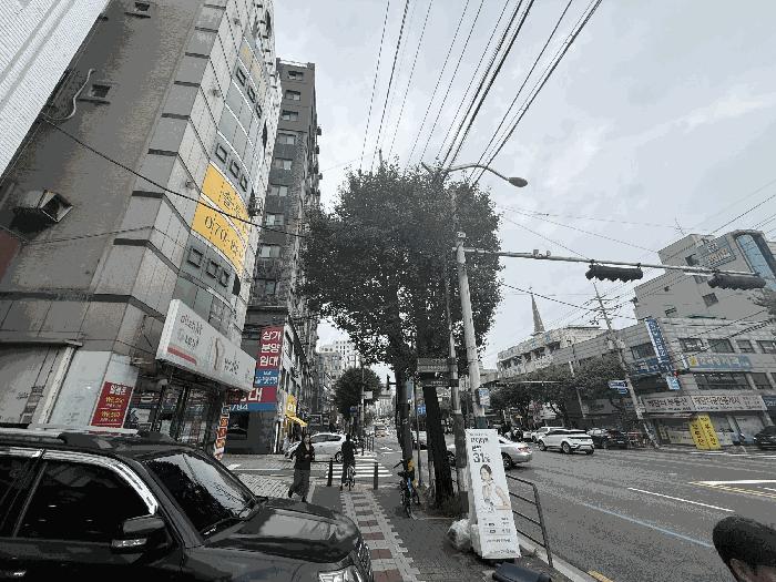 사진 08