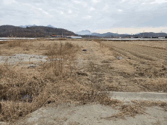사진 07