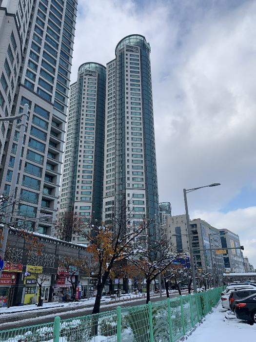 사진 01