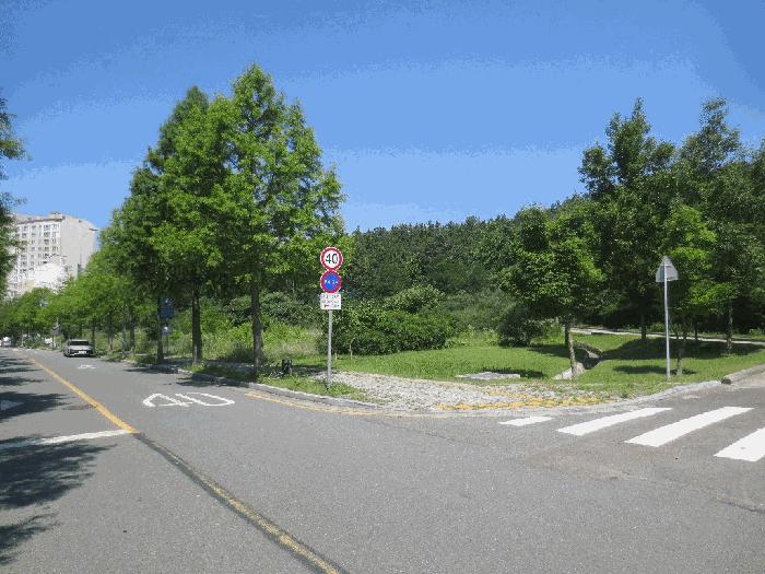 사진 08