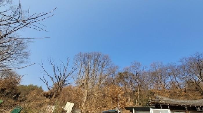 사진 03