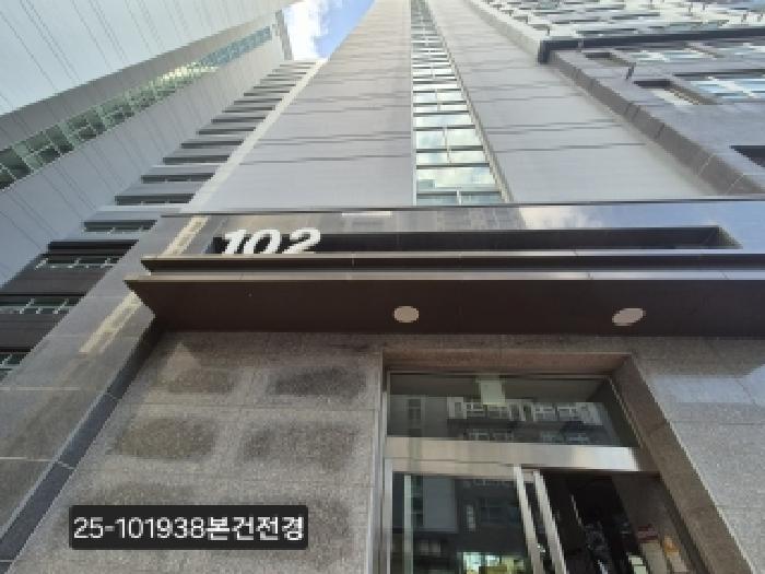 사진 01