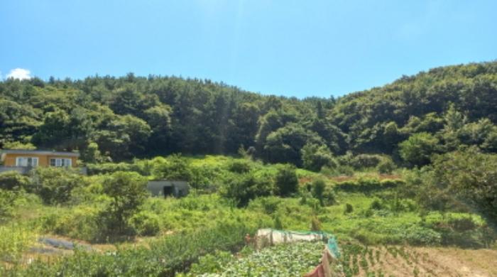 사진 07