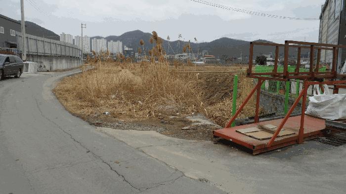 사진 01