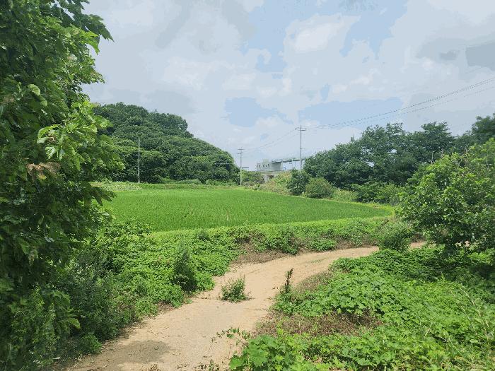 사진 03