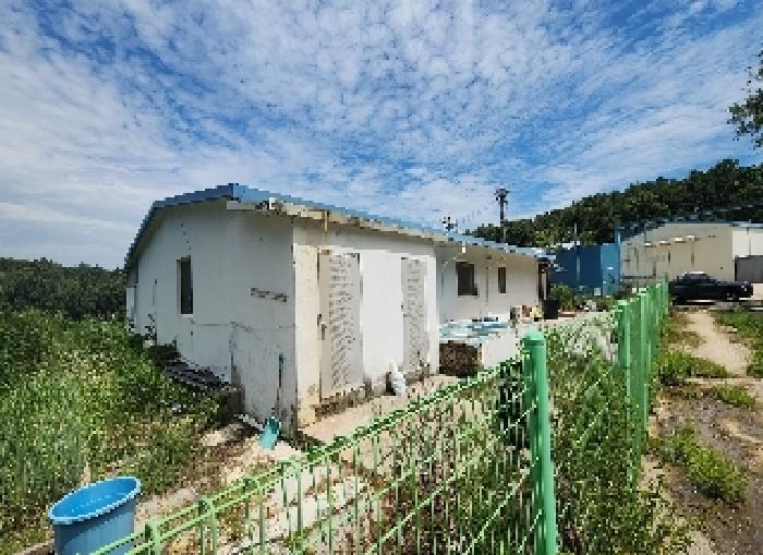 사진 05