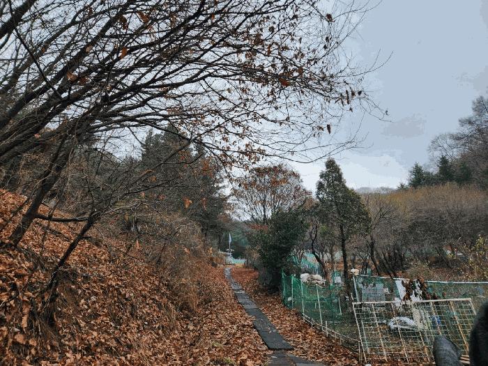 사진 04