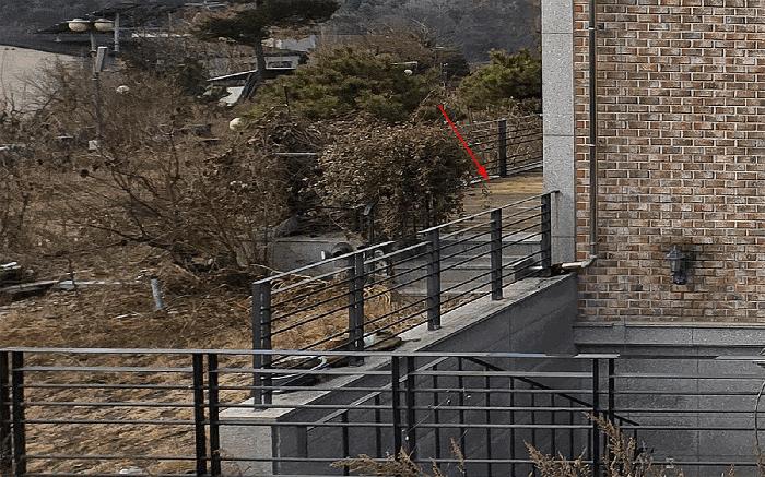 사진 01