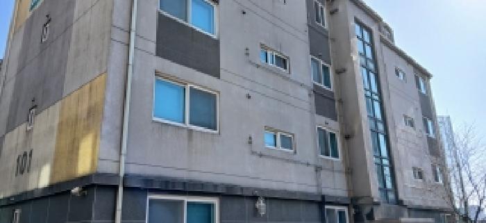 사진 08