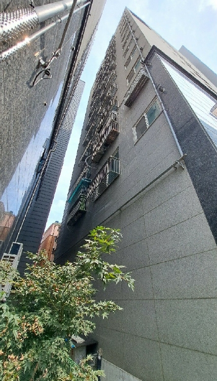 사진 03