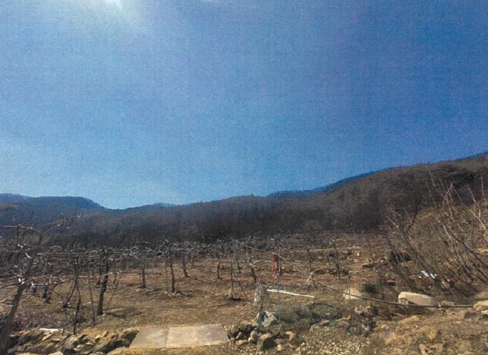 사진 01