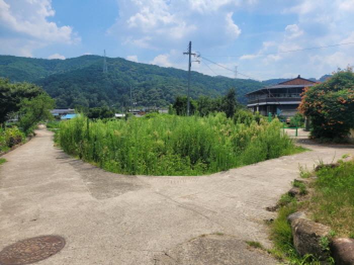 사진 02