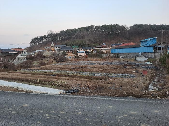 사진 08