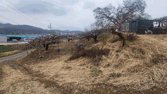 사진 02