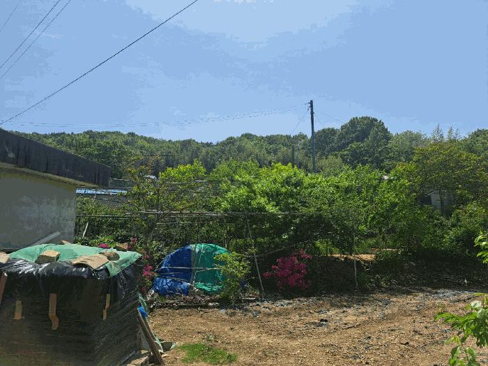 사진 04