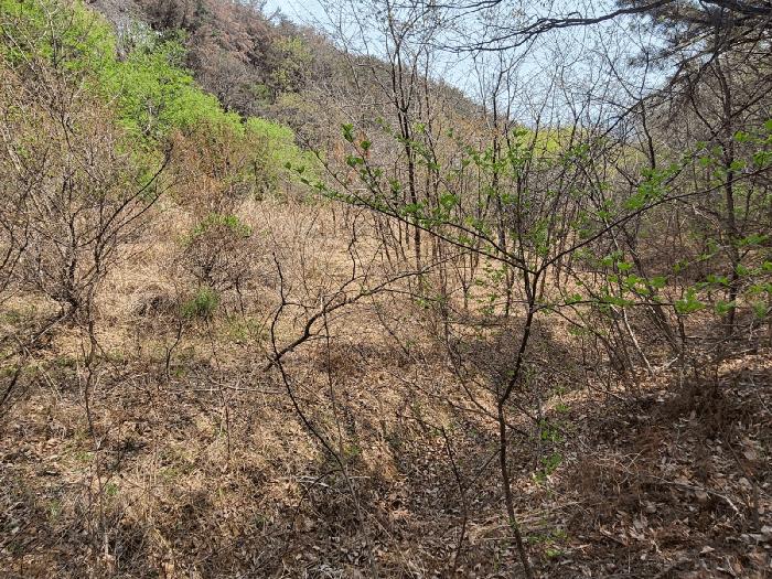 사진 05