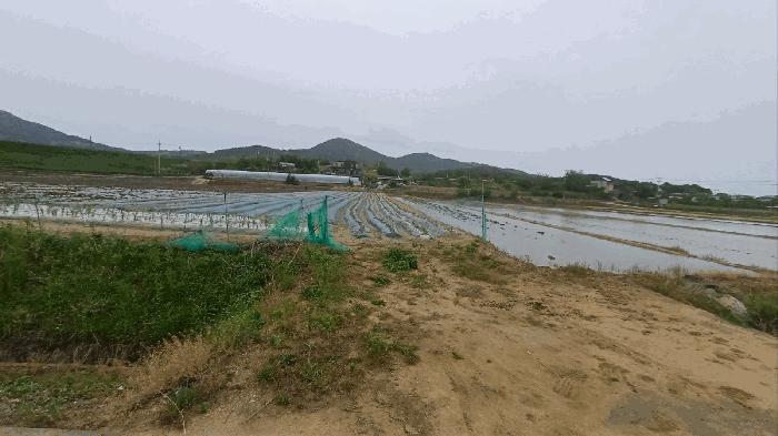 사진 04