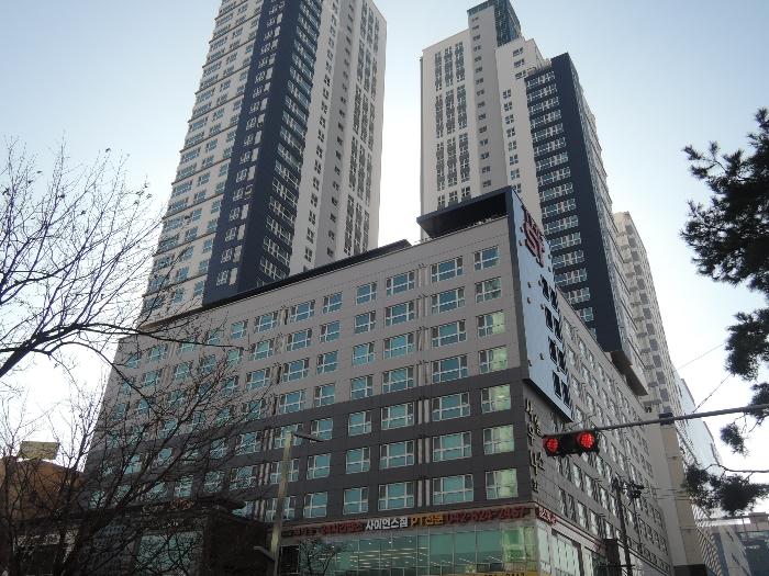사진 03