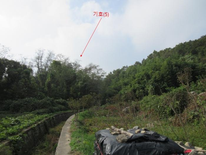 사진 05