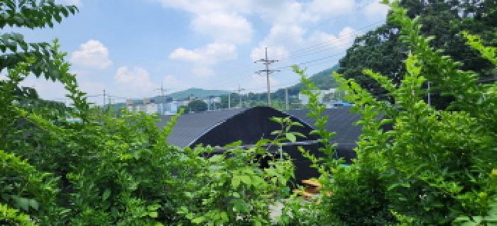 사진 01