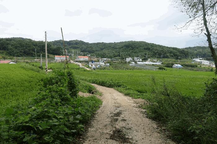 사진 04