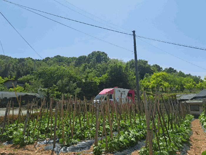 사진 02