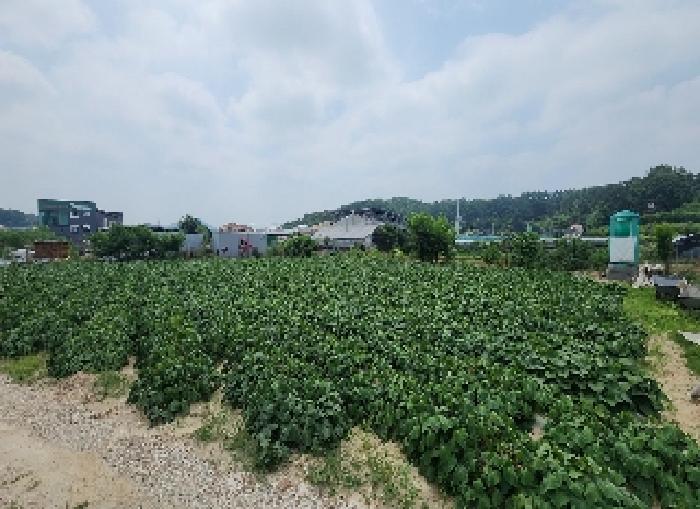 사진 08
