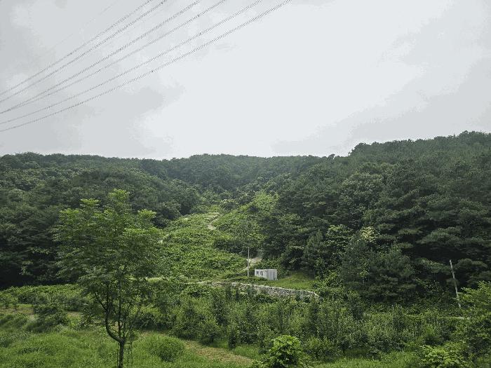 사진 05