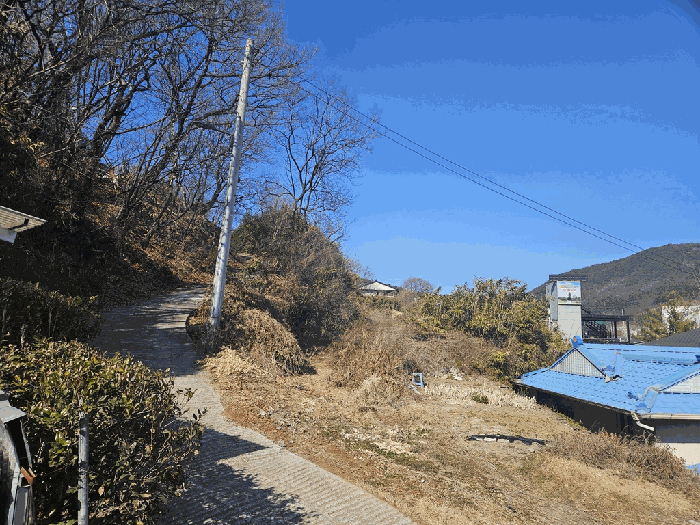 사진 08