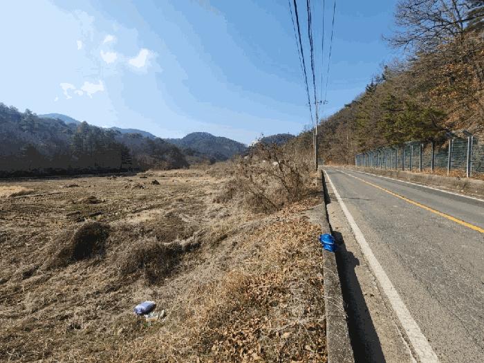 사진 03