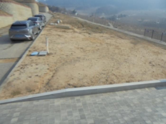 사진 02
