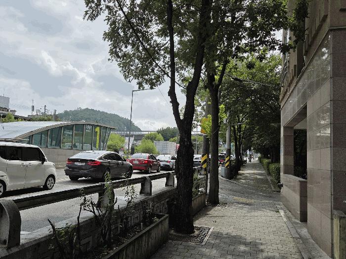 사진 06