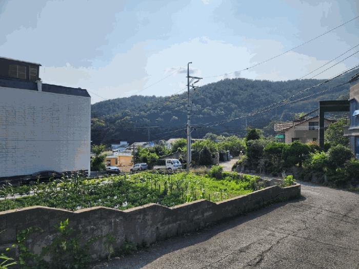 사진 03
