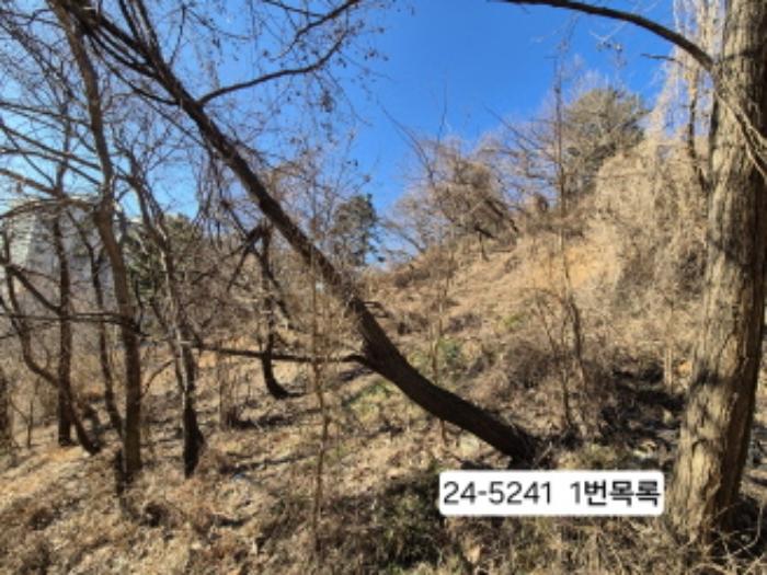 사진 03