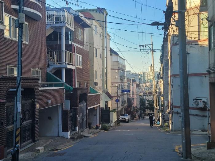 사진 02