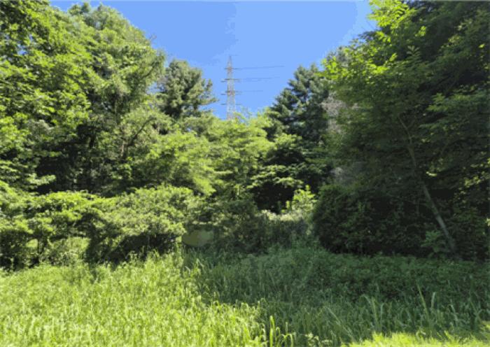 사진 05