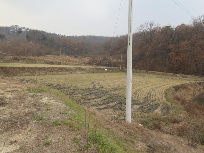 사진 05