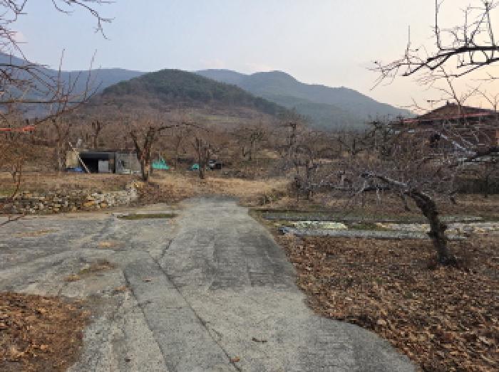 사진 03