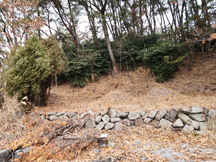 사진 05