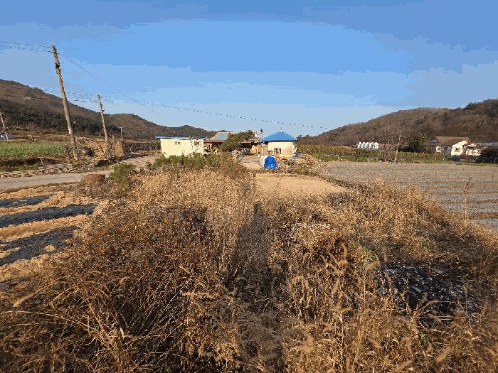사진 07