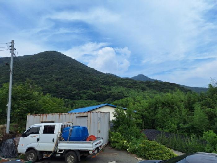 사진 06