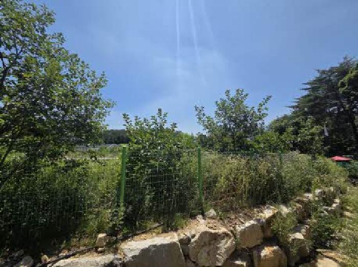 사진 08